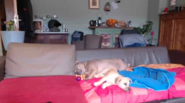 Furyosa 17-12-2021 Video 